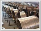 Galvanized Iron Wire